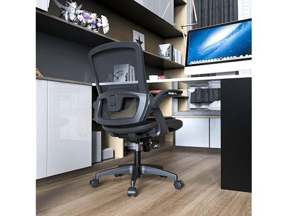 Sandure Mesh Office Chair Ergonomic