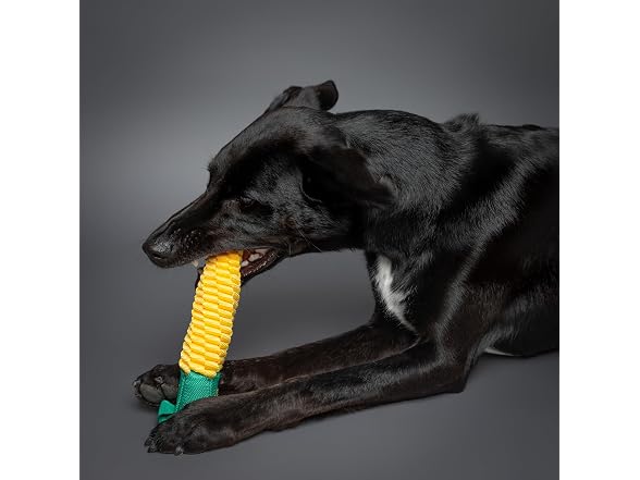 NOAH & PAW Luxury Dog Toy, Corn