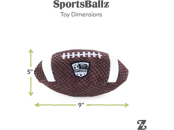 SportsBallz Football