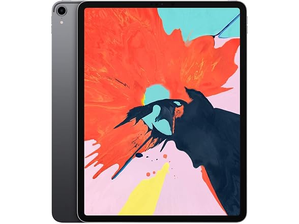 Apple 2021 11-inch iPad Pro (Wi-Fi, 256GB)