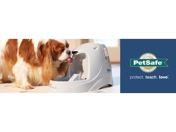 PetSafe Drinkwell Premium Replacement Carbon Filters