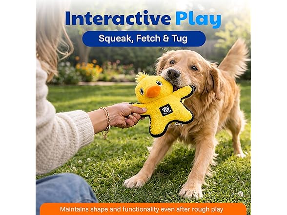 American Kennel Club Plush Dog Toy with Squeaker- Duck