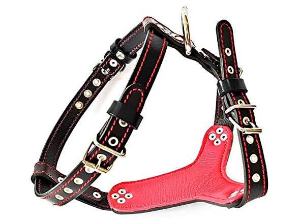 Bestia Studded Leather Harness. French Bulld
