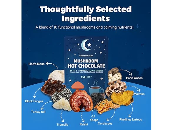 Mushroom Hot Chocolate