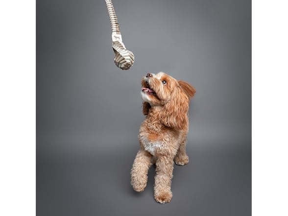 NOAH & PAW Luxury Dog Toy, Dog Rope Toy- Sling, Beige