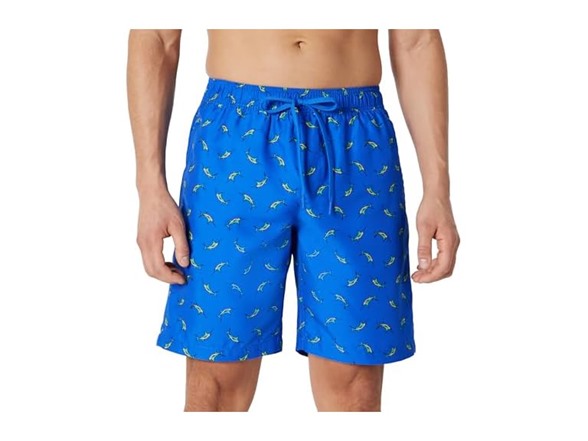 Bright Blue Swordfish