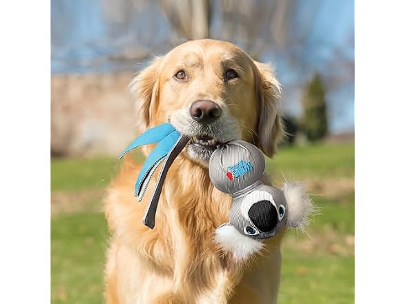 KONG Wubba Zoo Assorted Animal Dog Toy (Koala