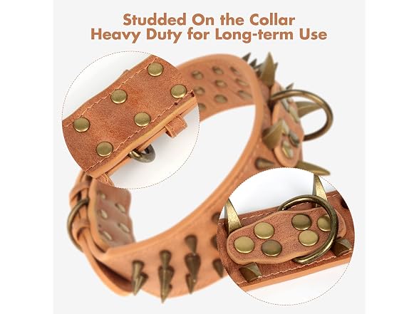 Spiked Studded Dog Collar