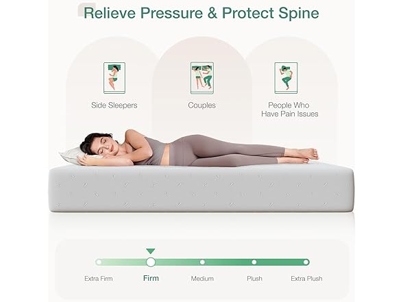 Novilla Novilla Queen Mattress, 10 Inch Queen Me