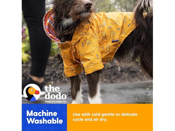 The Dodo Rainy Days Printed Raincoat for Dogs, Orange, Large