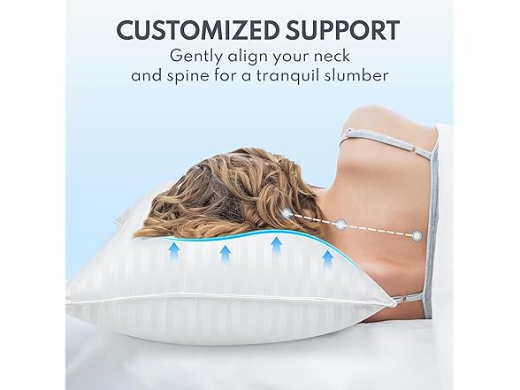 HEYCUZI Premium Down Alternative Bed Pillows