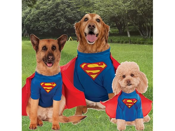 DC Comics Superheroes: Superman Pet Costume