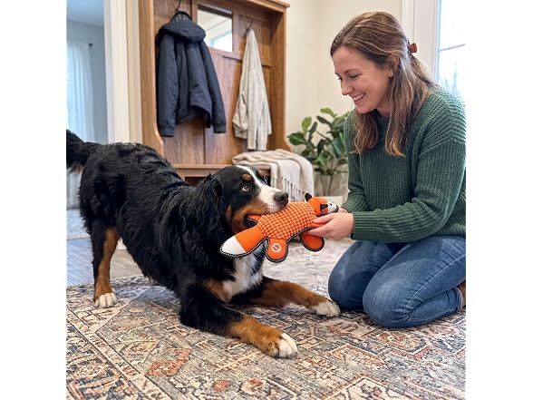 SPOT Dura-Fused Big Ballistic Barnyard Fox Dog Toy