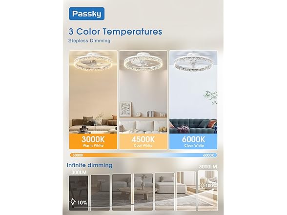 Passky 20” Low Profile Ceiling Fan with Lights and Remote