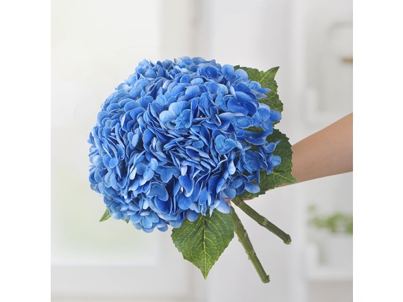 Royalblue