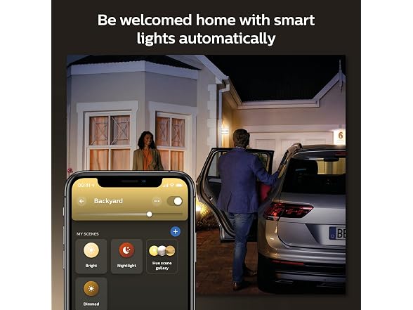 Philips Hue Lucca Outdoor Smart Wall Light, Black