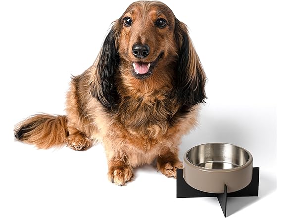 Intersecta Small/Medium Concrete and Stainless Steel Bowl
