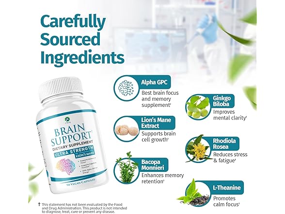 1 Body Nootropic Brain Booster