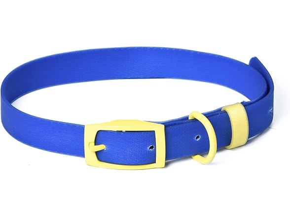 Wags & Wiggles Waterproof PVC Dog Collar