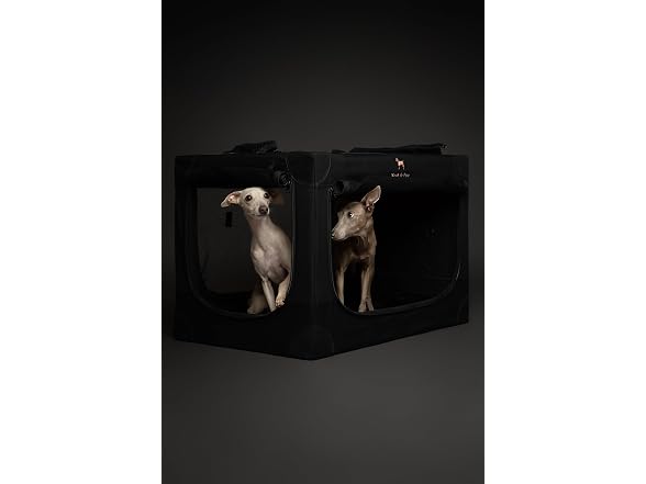 NOAH & PAW Collapsible Dog Crate