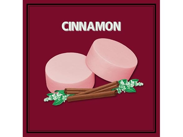 12PK ALTOIDS Classic Cinnamon, 1.76 oz Tin