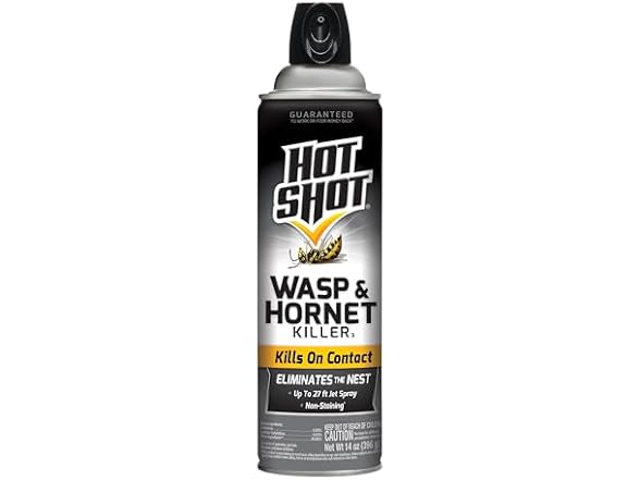 Hot Shot Wasp & Hornet Killer Spray