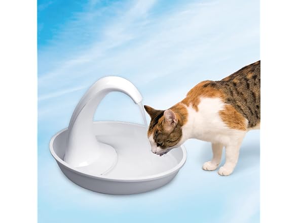 Pioneer Pet Swan Fountain, 80oz