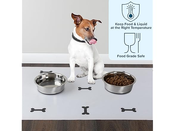 Set of 2 Stainless Steel Dog Bowls - 64oz