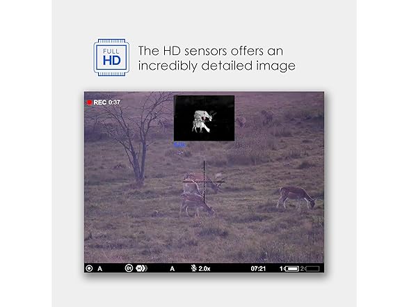 Pulsar Thermion DXP55 Thermal Riflescope