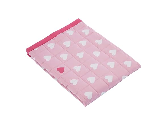 Amazon Basics Kids Cotton Reversible Sham