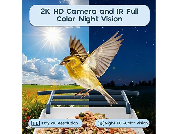 Bird Feeder with Camera
