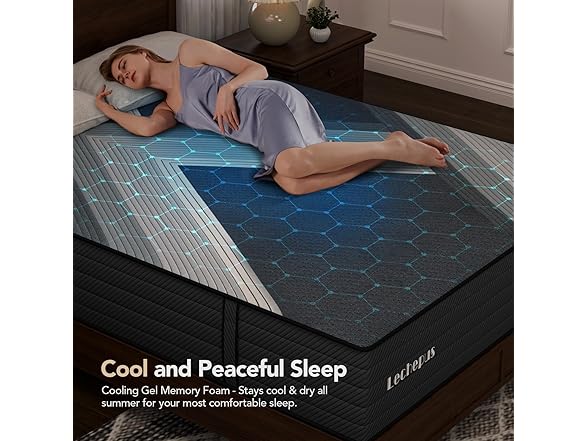 Lechepussleep Queen Mattress 10 Inch