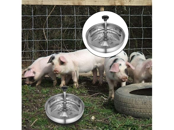 YARNOW Pig Feeder Stainless Steel Pig Feeding Bowl