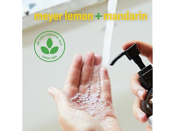 Everyone Liquid Hand Soap Meyer Lemon and