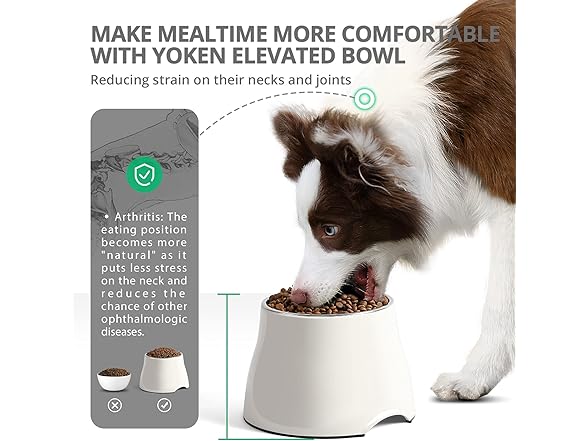 yoken Elevated Dog Bowl