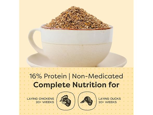 Scratch and Peck Feeds | Layer Mash for Chickens & Ducks