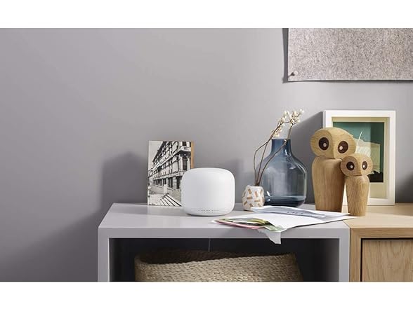 Nest WiFi Router and 1 Points