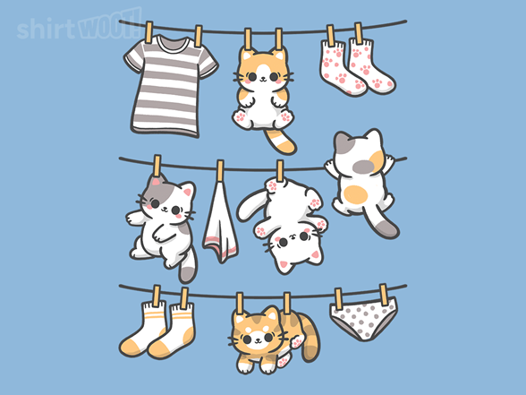 Kitten Laundry Day