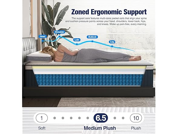 DIGLANT 14" Medium Plush Euro Top Memory Foam Hybrid Queen Mattress