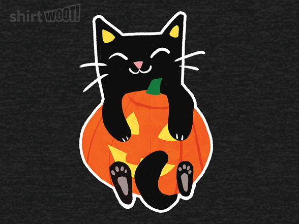 Pumpkin Cat