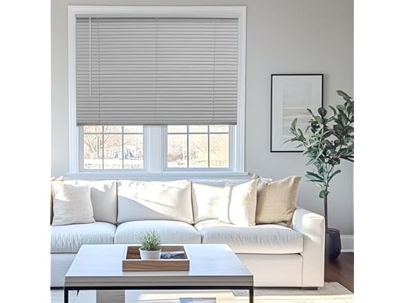 CHICOLOGY Cordless Mini Blinds