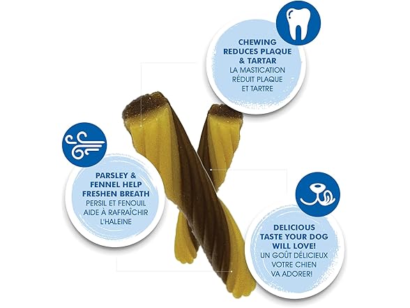N-Bone Flossta Dental Chews for Dogs
