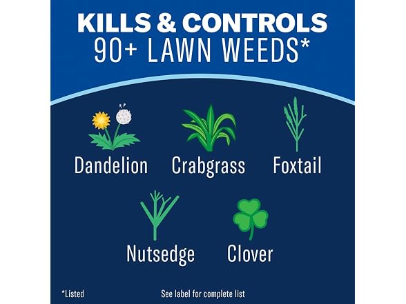 BioAdvanced All-in-One Lawn Weed & Crabgrass Killer