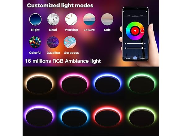 TALOYA Smart Ceiling Light Fixture