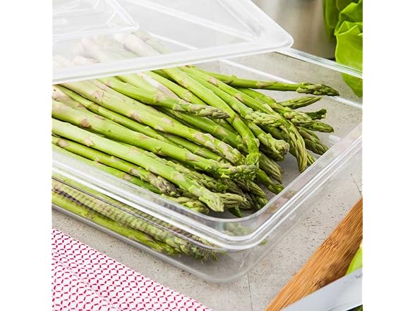 Restaurantware-2.5 Inch Deep Food Storage Container