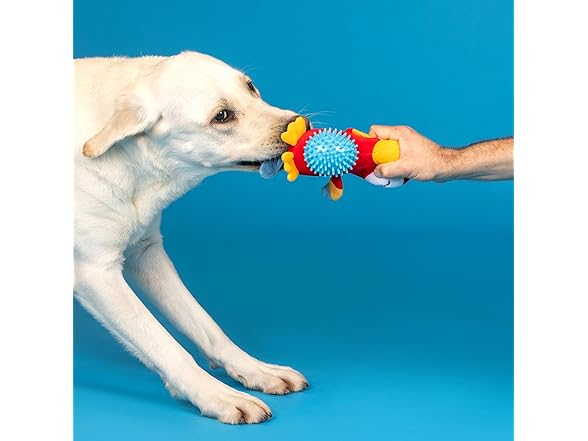Fringe Studio Plush Dog Toy, Spikey Ball