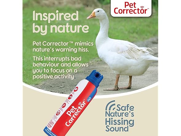 PET CORRECTOR Dog Trainer
