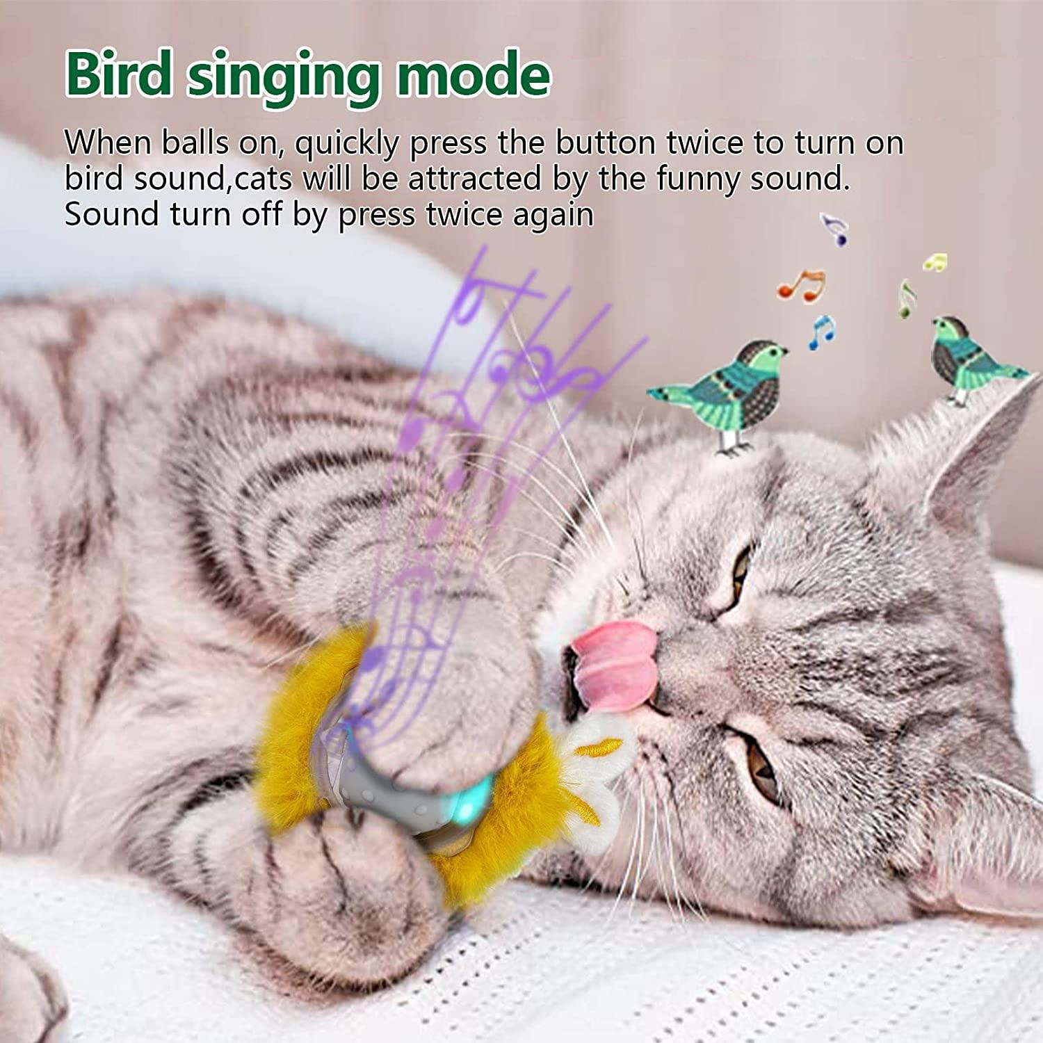 Electric Cat Toy - Gallery 9