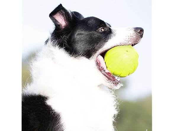 Nerf Dog Rubber Ball Dog Toy with Squeak