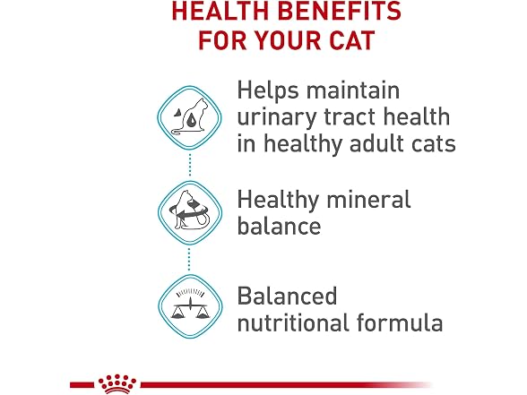 Urinary Care Cat Food 14lb